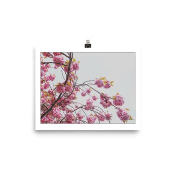 Sakura A4 4