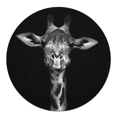 Muurcirkel Girafe 20cm