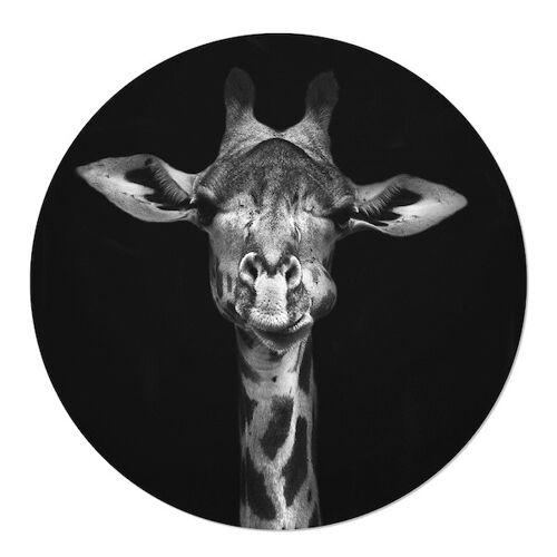 Muurcirkel Giraffe 30cm