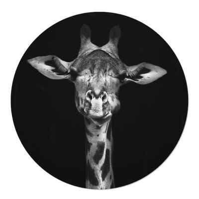 Murcirkel-Giraffe 30cm