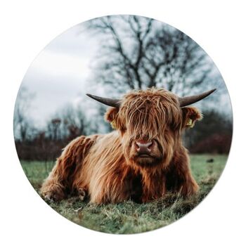 Muurcirkel Schotse Hooglander Liggend in het Gras 30cm