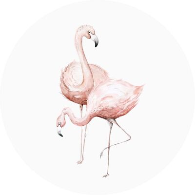 Muurcirkel Afrikaanse Dieren Flamingo 2 50cm