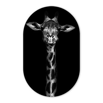 MuurOvaal-Giraffe 40x64