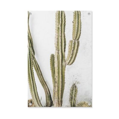 Tuinposter Kaktus 60x90