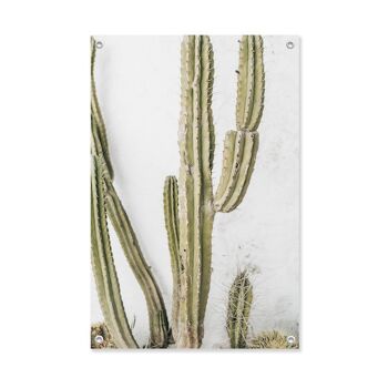 Tuinposter Cactus 60x90 1