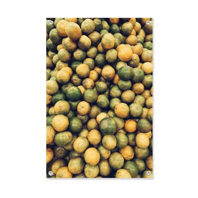 Tuinposter Citrons 60x90