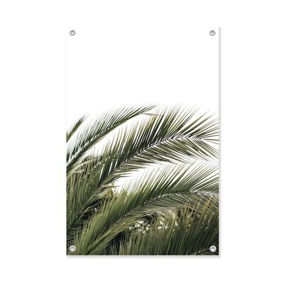 Tuinposter Palm Groen  60x90
