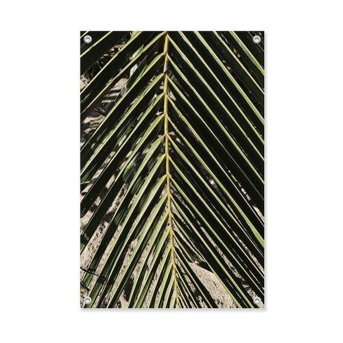 Tuinposter Palmblad  60x90