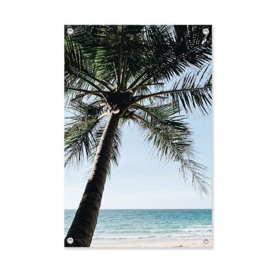 Tuinposter Palmboom 60x90