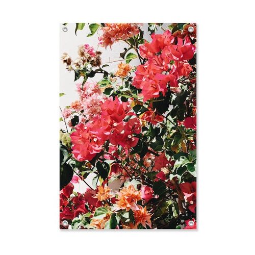 Tuinposter Zomer Bloemen  60x90