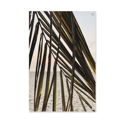 Tuinposter Palm Beach 60x90
