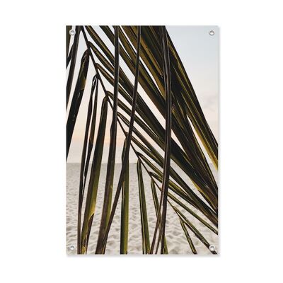 Tuinposter Palm Beach  60x90