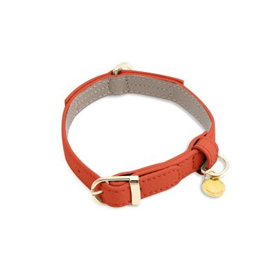 COLLAR PET PEQUEÑO TANGERINE TANGO