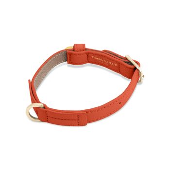 COLLIER PET PETIT TANGERINE TANGO 2