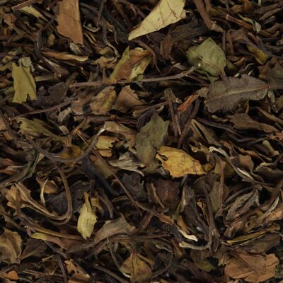 Té mental de mariposas a granel