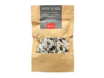 Mélange de perles heishi et de breloques - New-York (291013) 1