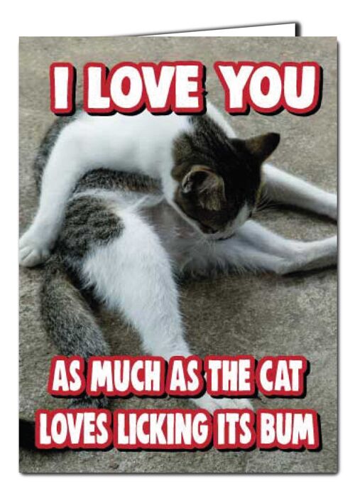 Cat Kitten Funny Valentine's Anniversary card I love you as much as the cat loves licking its bum v237