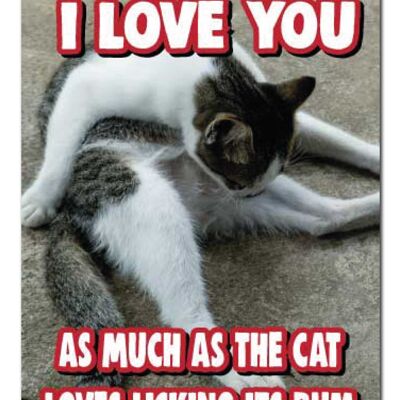 Cat Kitten Funny Valentine's Anniversary card I love you as much as the cat loves licking its bum v237