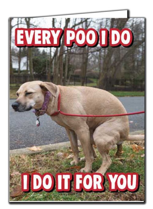 Funny Valentines Anniversary Card Dog Lover Dog Poo Funny Card V238