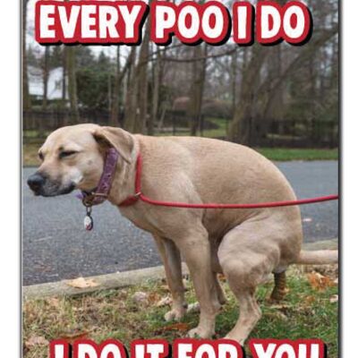 Carte drôle d'anniversaire de Valentines Dog Lover Dog Poo Funny Card V238