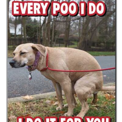 Funny Valentines Anniversary Card Dog Lover Dog Poo Funny Card V238