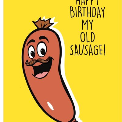 6 x Birthday Cards - Happy Birthday my old sausage - C541