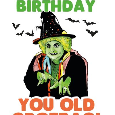 6 x Cartes d'anniversaire - Happy Birthday you old Grotbags - C539
