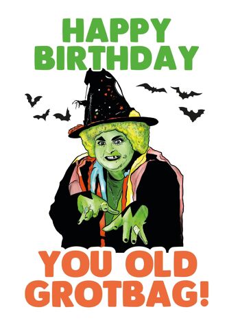 6 x Cartes d'anniversaire - Happy Birthday you old Grotbags - C539