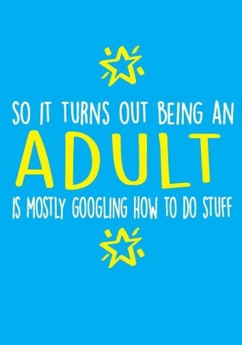 6 x Greeting Cards - So it turns out being and adult is mostly googling how to do stuff - Birthday Cards -BC24