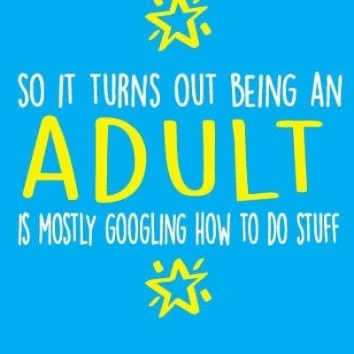 6 x Greeting Cards - So it turns out being and adult is mostly googling how to do stuff - Birthday Cards -BC24