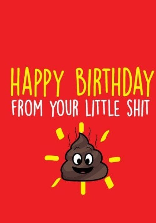 6 x Rude Cards - Happy Birthday from your little sh*t - Birthday Cards - BC21