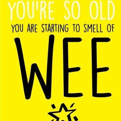 6 x Greeting Cards - You're so old you smell of wee - Birthday Cards - BC7