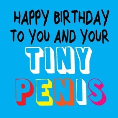 6 x Birthday Rude Cards - Happy Birthday to you and your tiny penis - FUN22