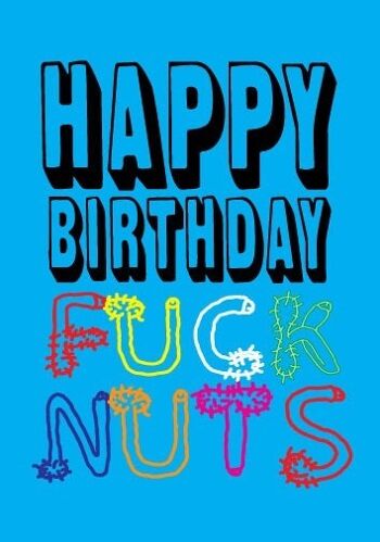 6 x cartes d'anniversaire grossières - Happy Birthday Fuck Nuts - FUN21