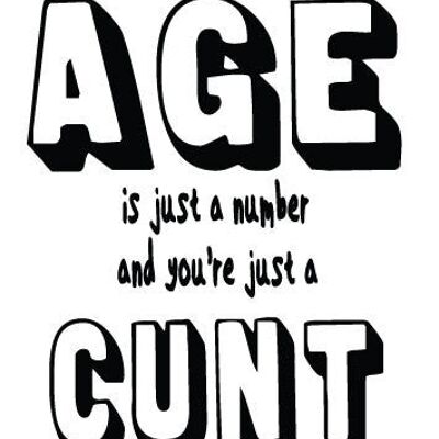 6 x Birthday Rude Cards - Age is just a number and you're just a - FUN13