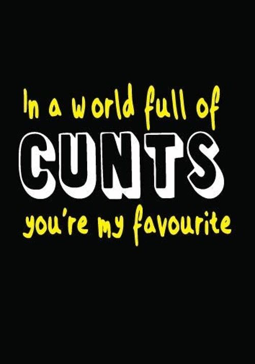 6 x Rude Cards - In a world full of cunts you're my favourite - FUN03