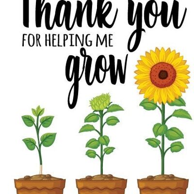 6 x Teacher Cards - Thank you for helping me grow - K6