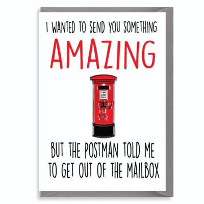 6 x Birthday Cards - I wanted to send you something amazing but the postman told me to get out of the mailbox - C489