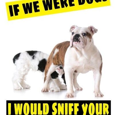 6 x Greeting Cards - If we were dogs I'd sniff your bum - C362