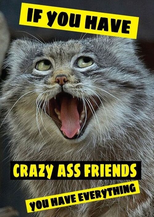 6 x Greeting Cards - If you have crazy ass friends you have everything - C336