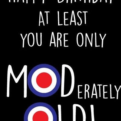 6 x Birthday Cards - Happy Birthday At least you are only MODerately old - C321