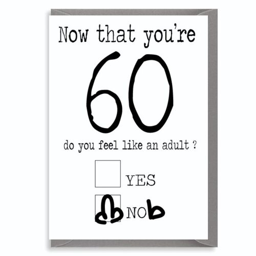 6 x 60th Birthday Rude Cards - Now you're 60 - C187