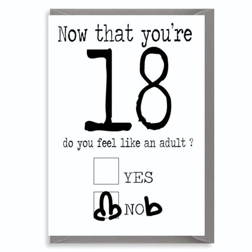 6 x 18th Birthday Rude Cards - Now you're 18 - C184