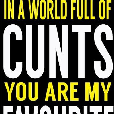 6 x Rude Cards - World Of Cunts - C179