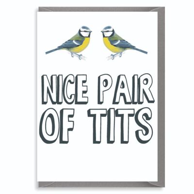 6 x Rude Cards - Nice Pair of T*ts - C167
