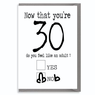 6 x 30th Birthday Card – 30 Thirty – Birthday Greetings Card Funny Adult Rude Quirky Insult – C63