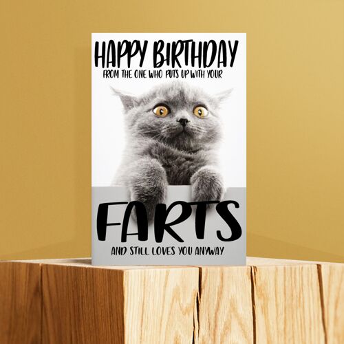 X6 Funny Cat Card – Fart Joke Birthday Card For Cat Lover, Her, Him, Wife, Husband, Sister, Mum – Puts Up With Your Farts – C43