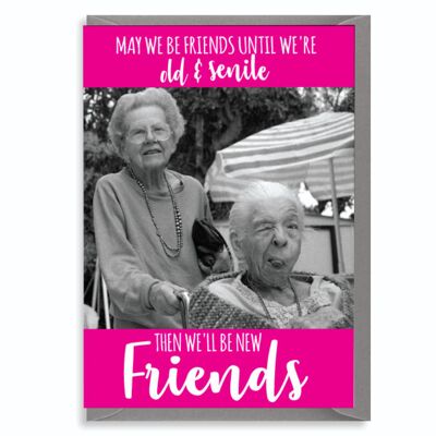 6 x Funny Cute Greetings / Birthday Card For Best Friend – Old And Senile – C31