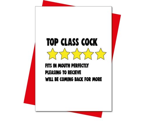 6 x Valentines Day Cards - 5 star review, top class cock - V219