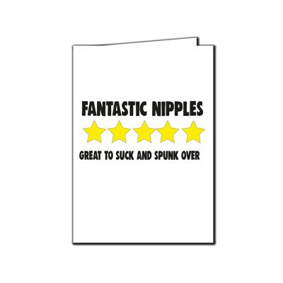 6 x Valentines Day Cards - 5 star review, fantastic nipples - V216